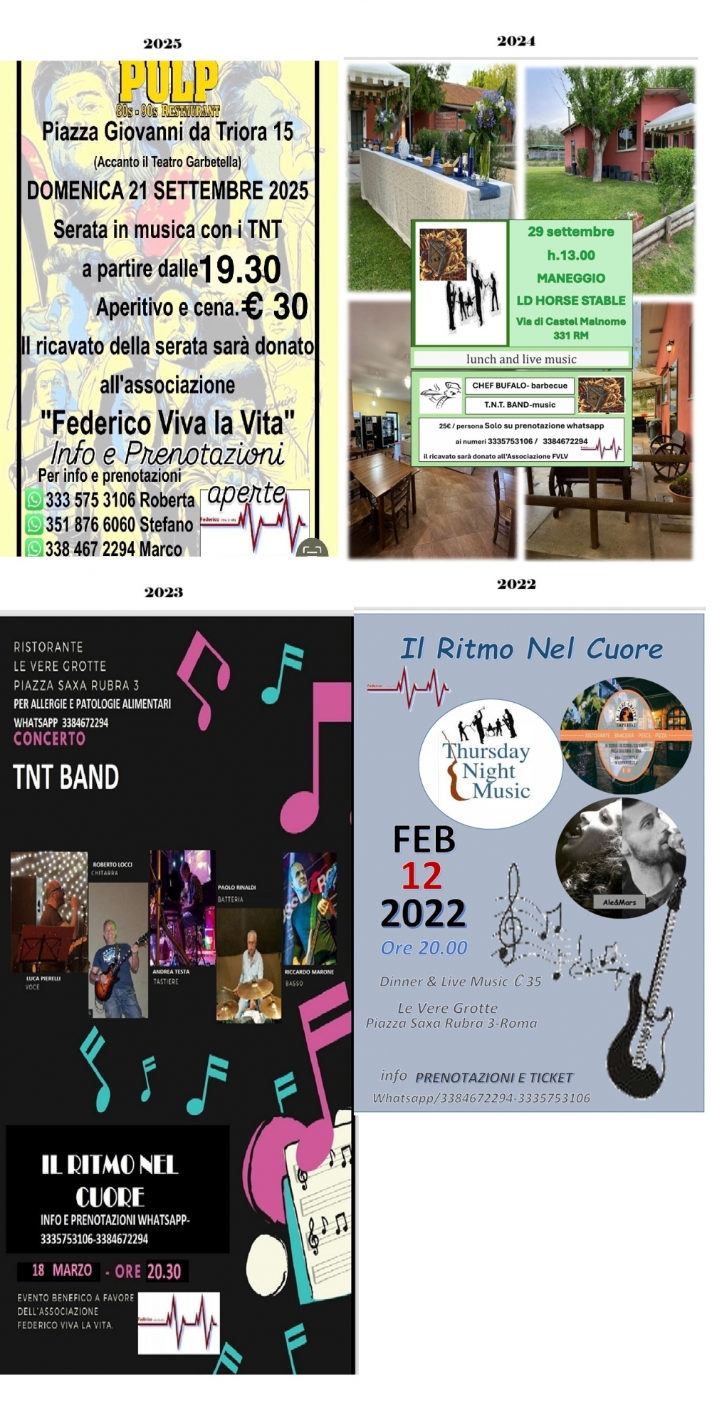 IL RITMO NEL CUORE MUSICA DAL VIVO - Federico Viva la Vita